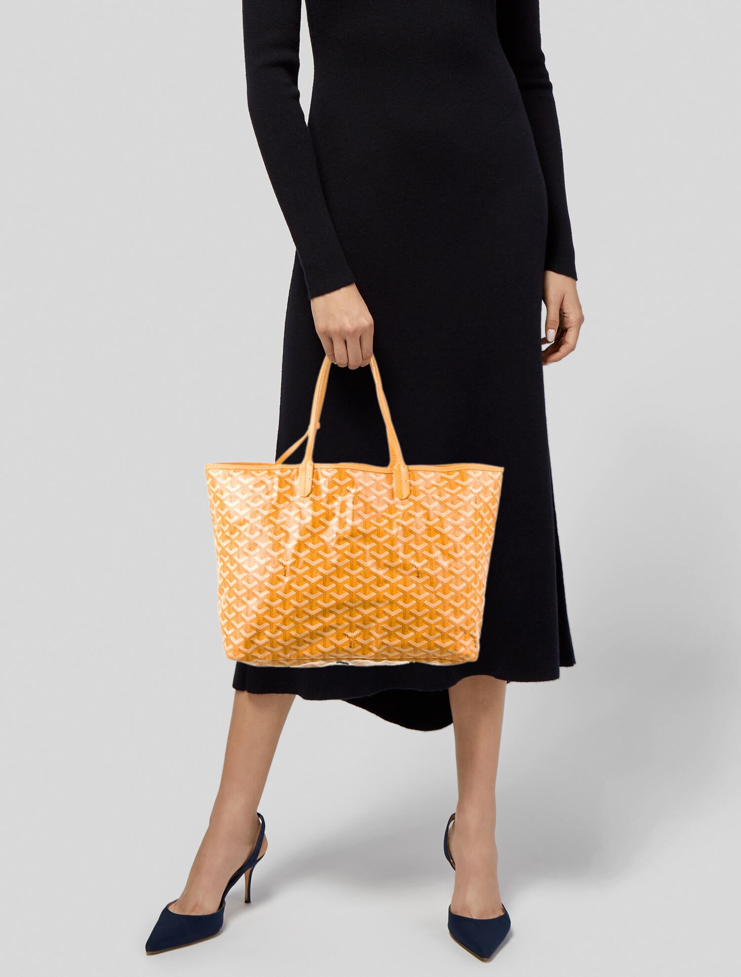 Goyard Goyardine St. Louis PM w/Pouch